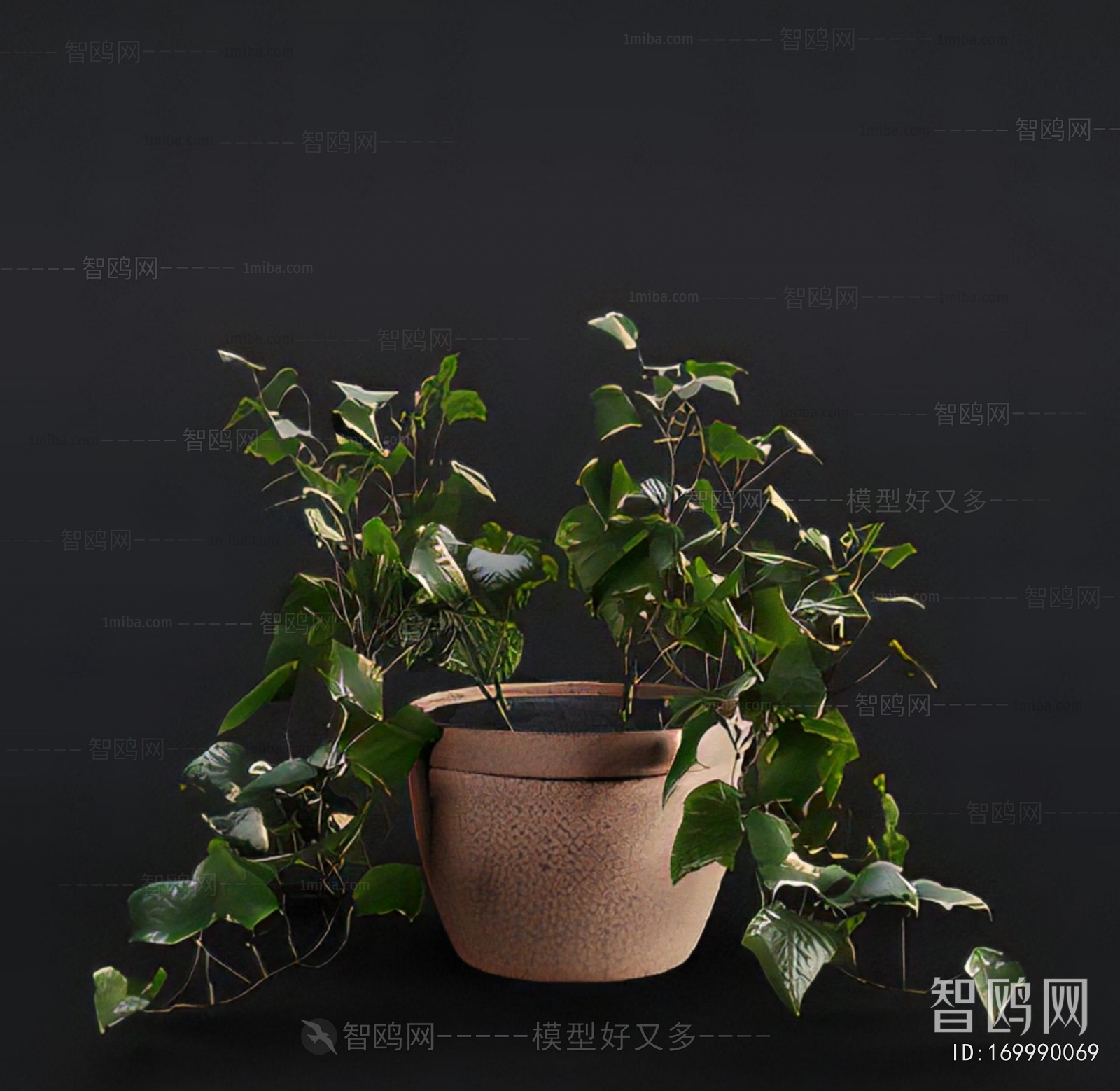 Modern Potted Green Plant
