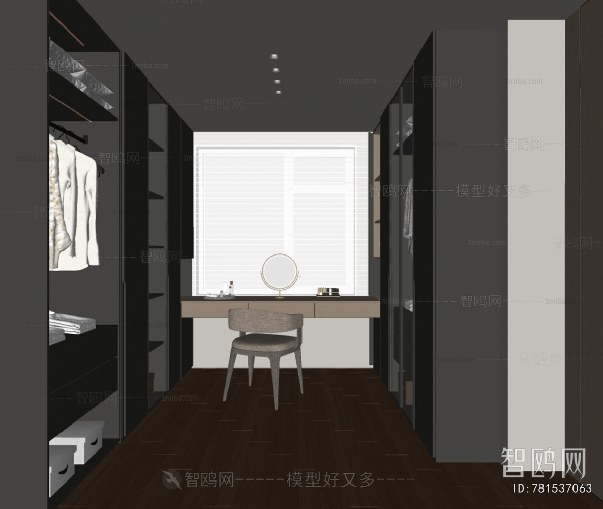 Modern Clothes Storage Area