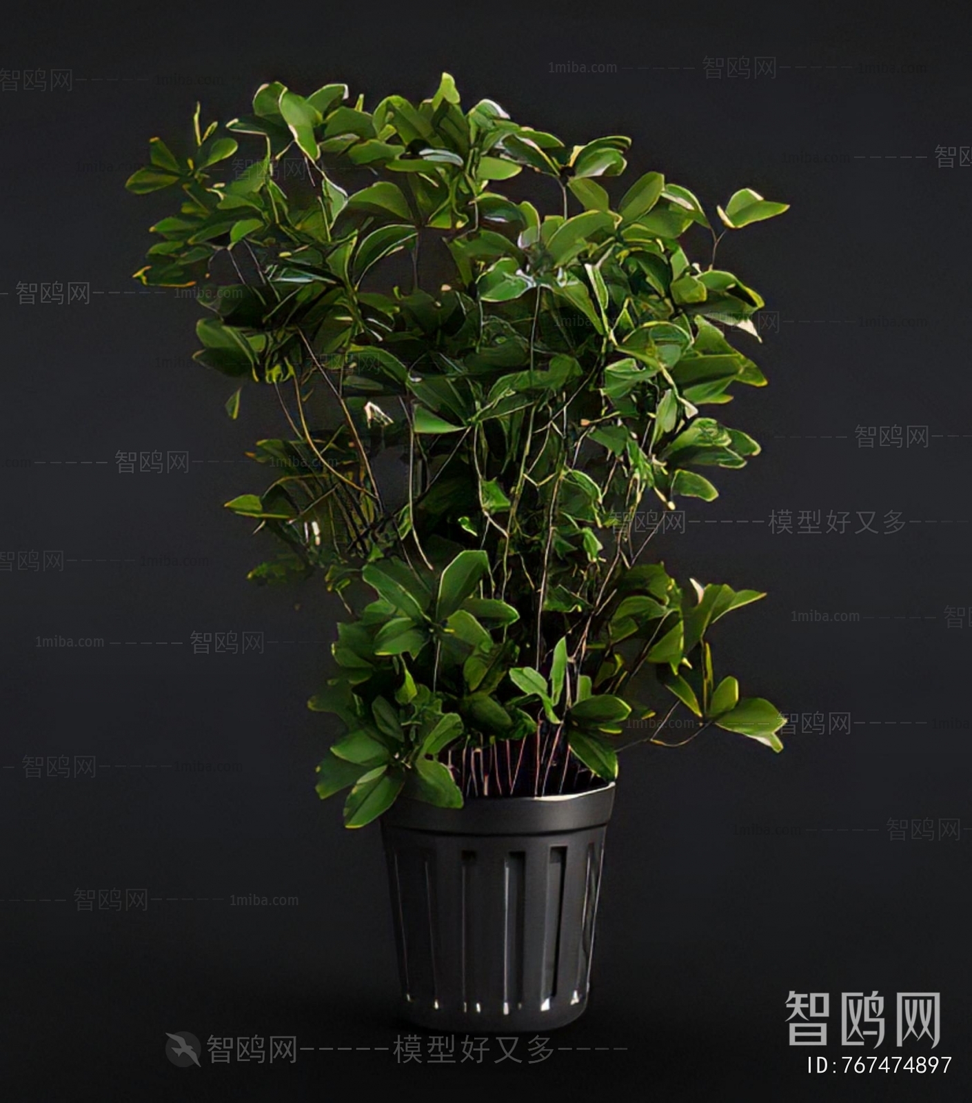 Modern Ground Green Plant Potted Plants