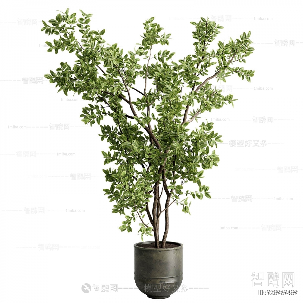 Modern Ground Green Plant Potted Plants