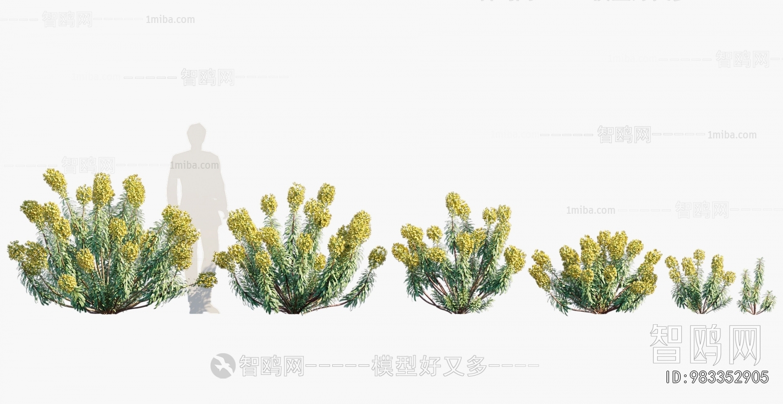 Modern Flowers And Grass