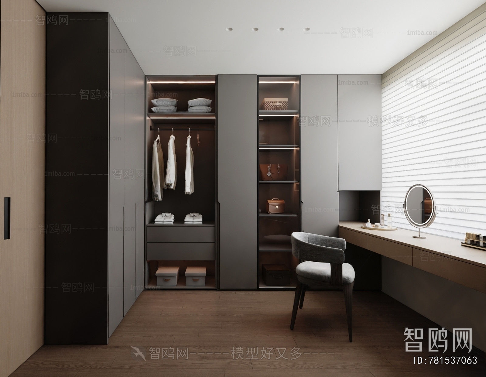 Modern Clothes Storage Area