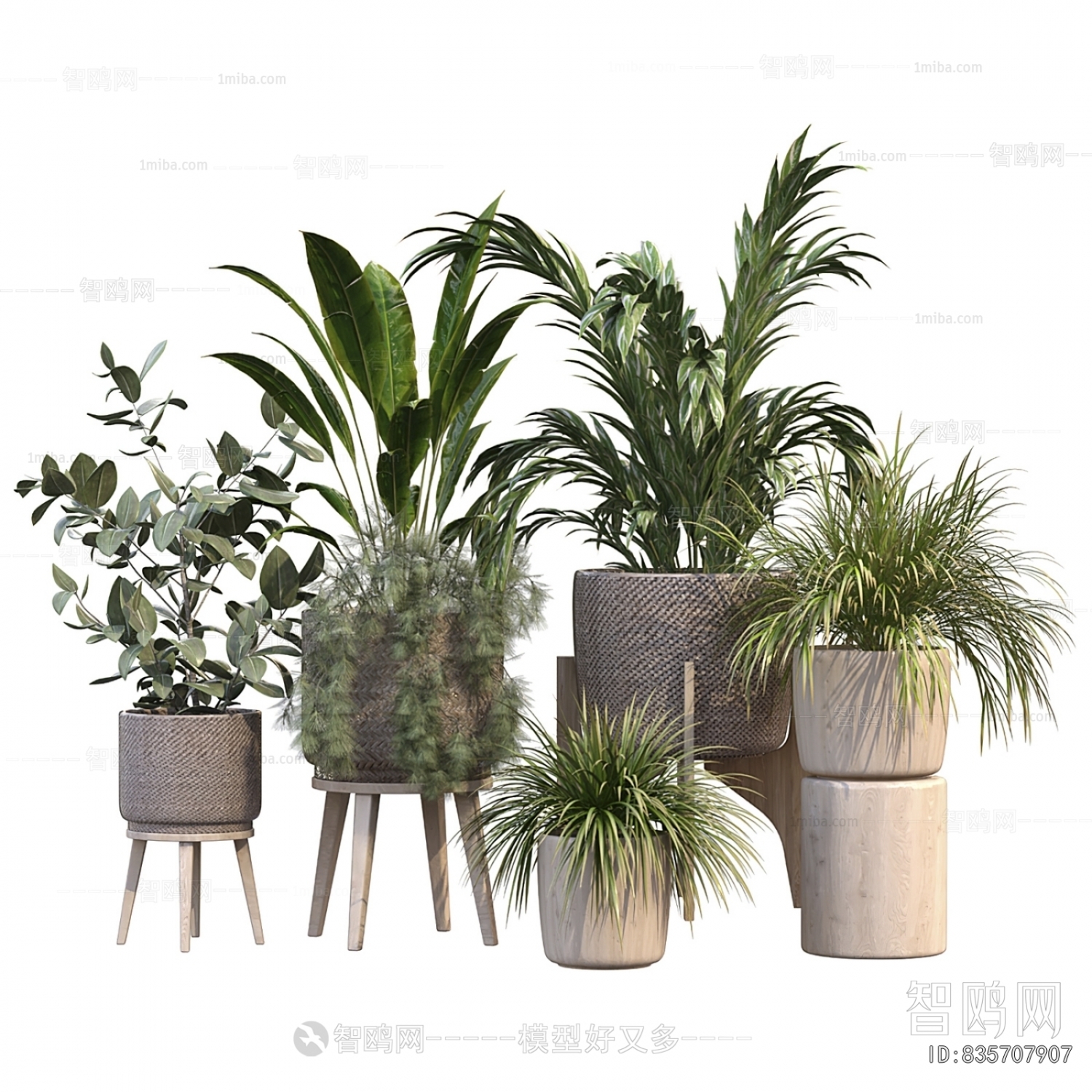 Modern Ground Green Plant Potted Plants