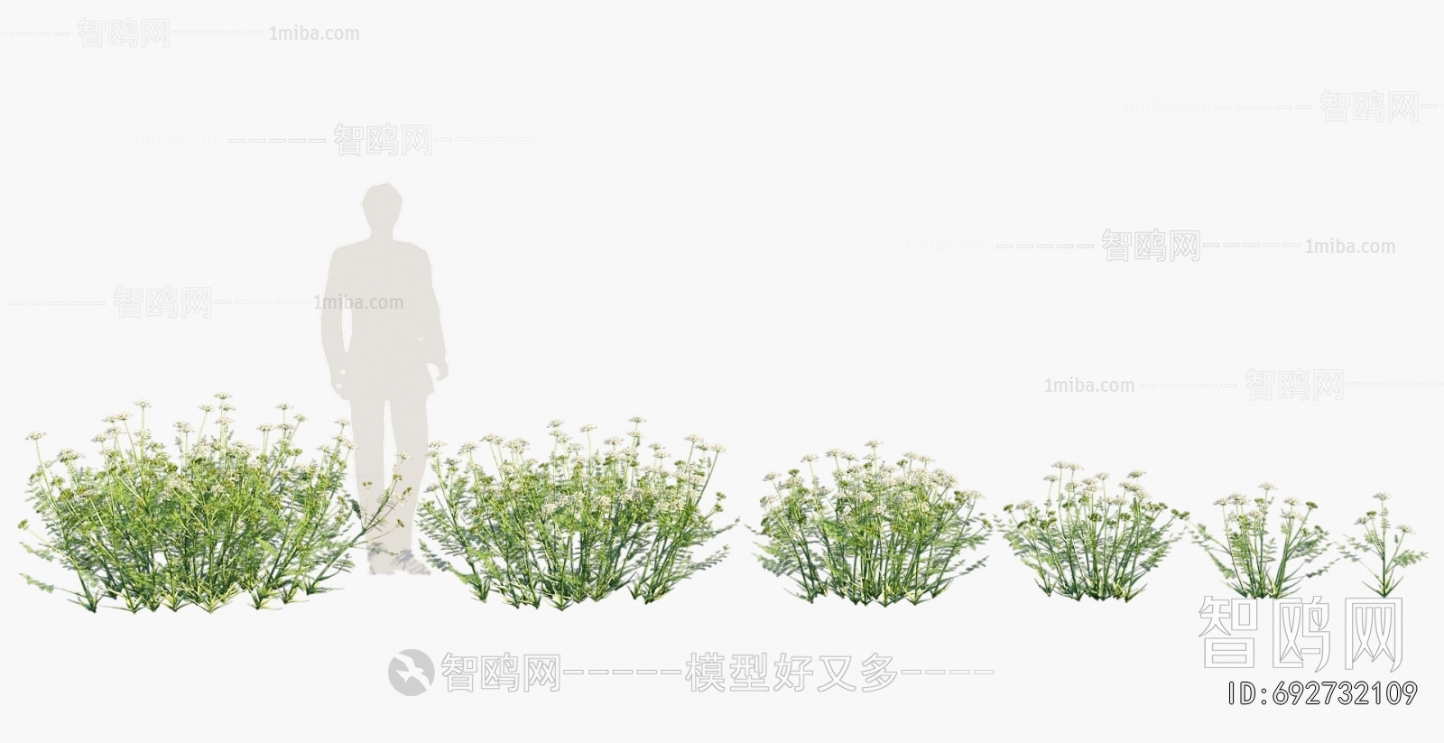 Modern Flowers And Grass