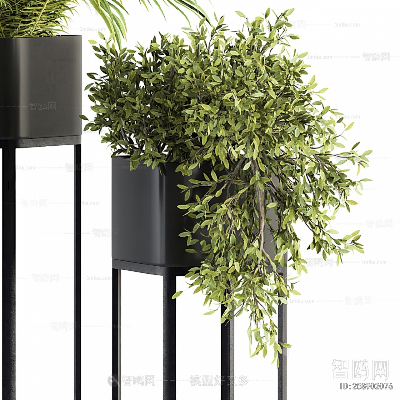 Modern Potted Green Plant