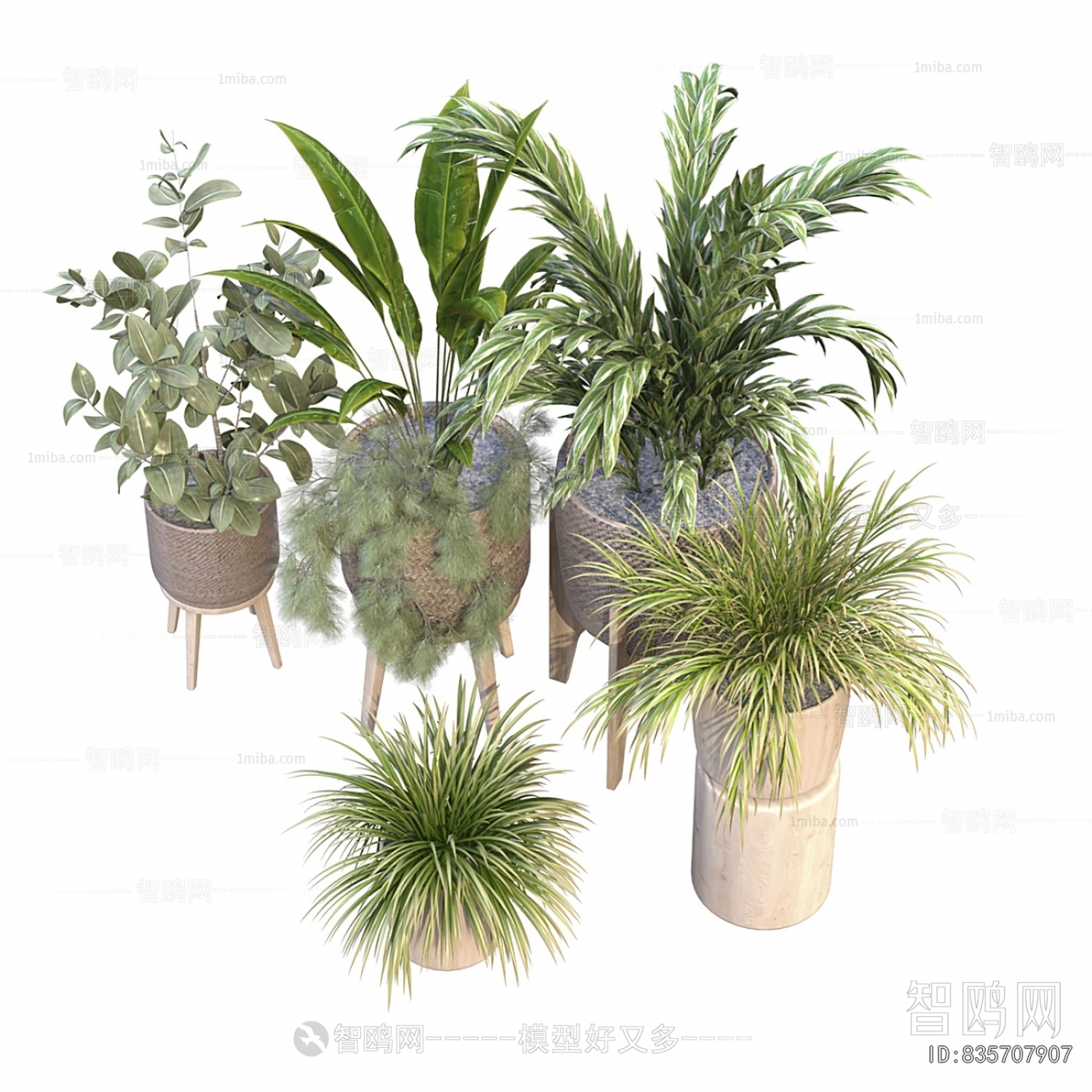 Modern Ground Green Plant Potted Plants