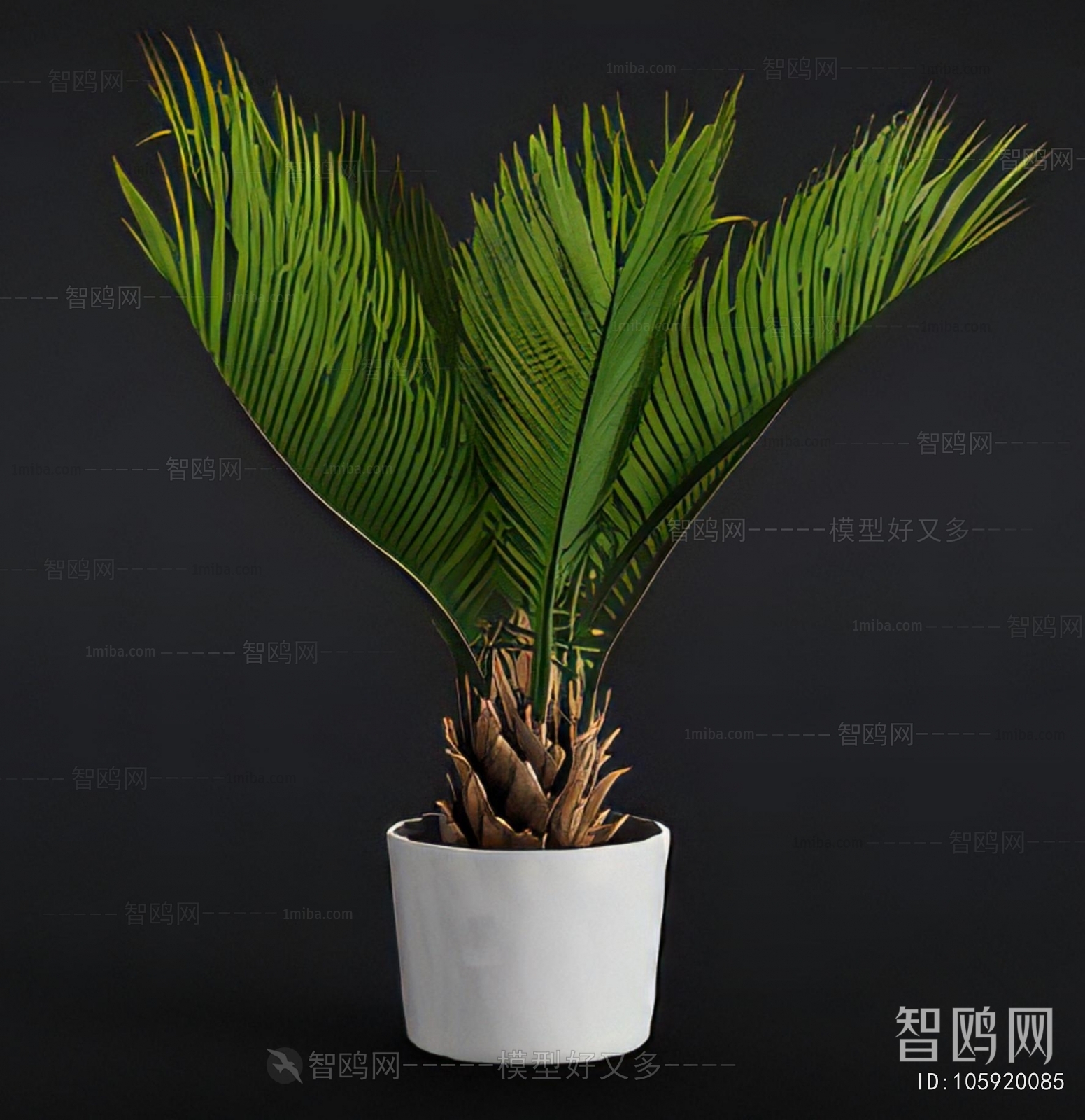 Modern Ground Green Plant Potted Plants