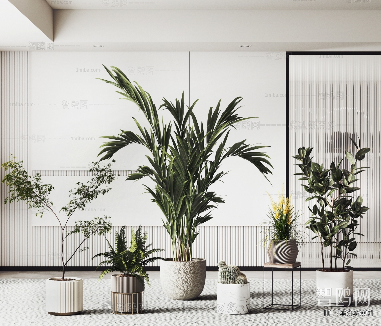 Modern Ground Green Plant Potted Plants