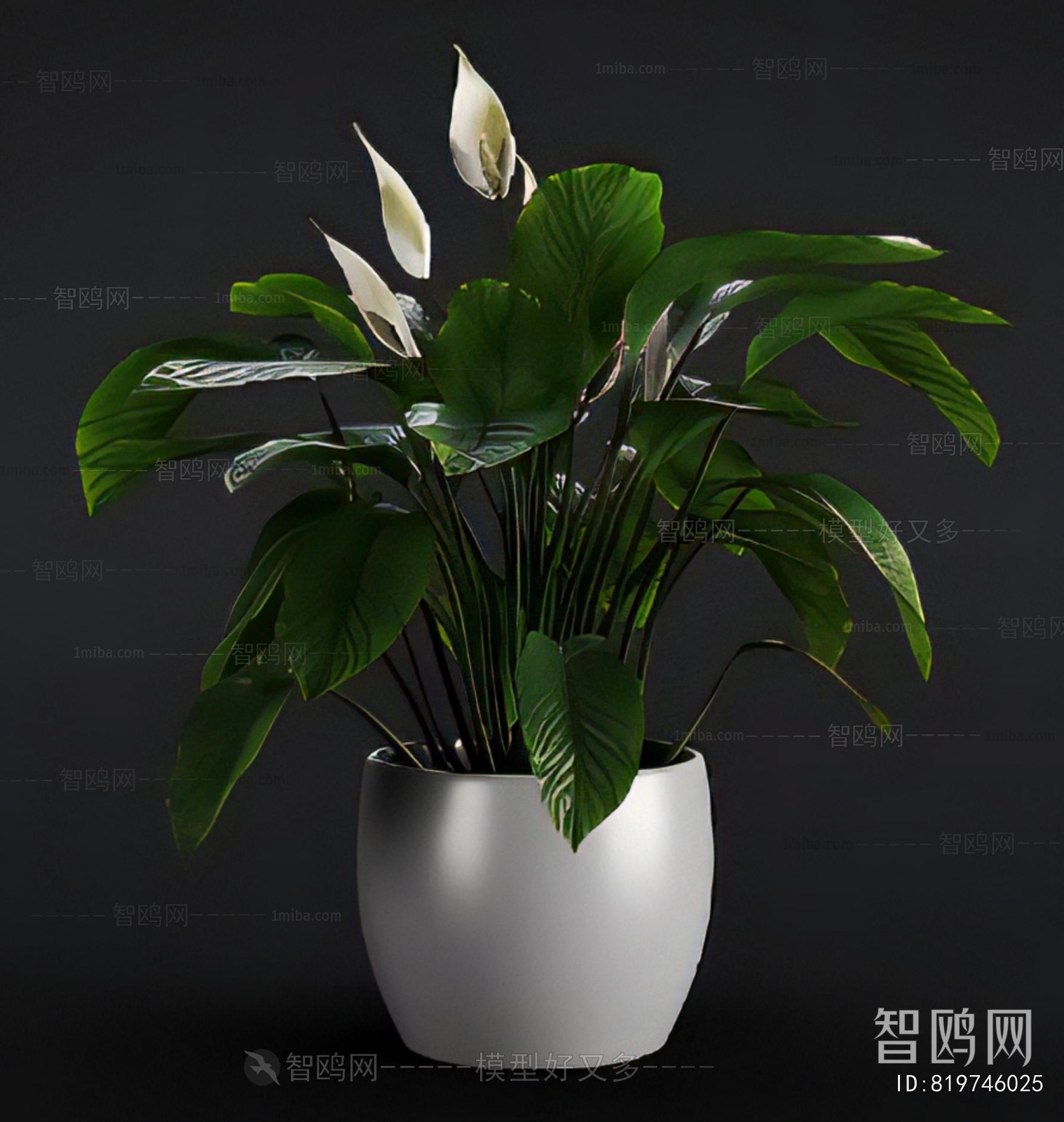 Modern Potted Green Plant