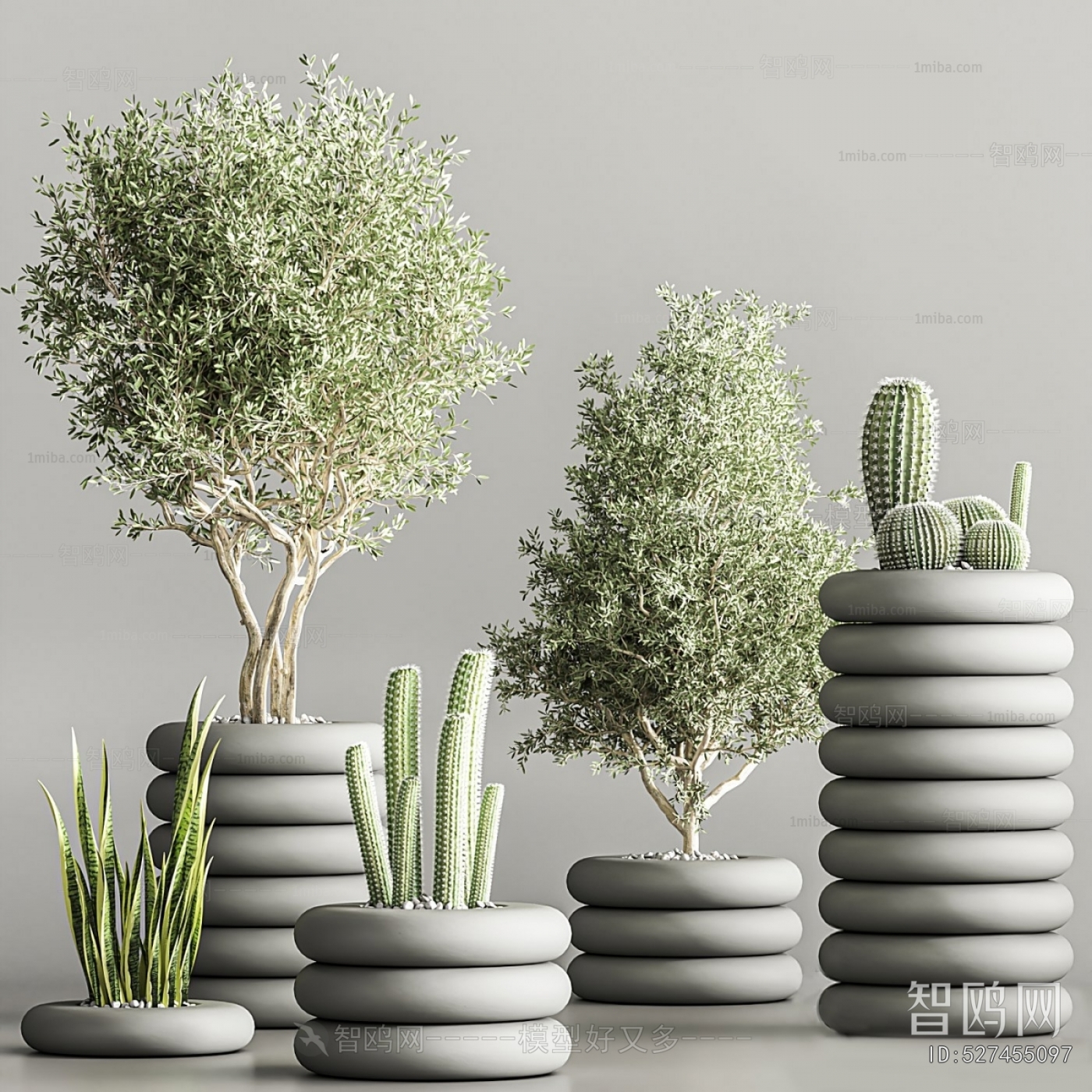 Modern Potted Green Plant