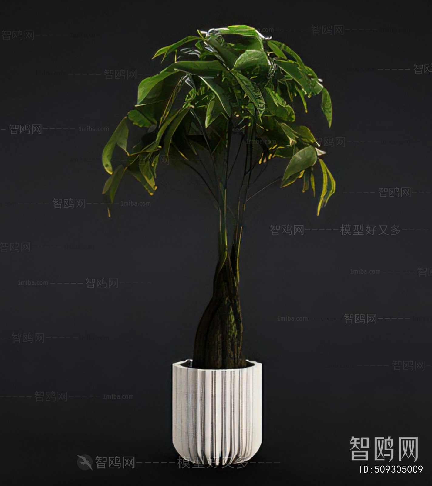 Modern Ground Green Plant Potted Plants