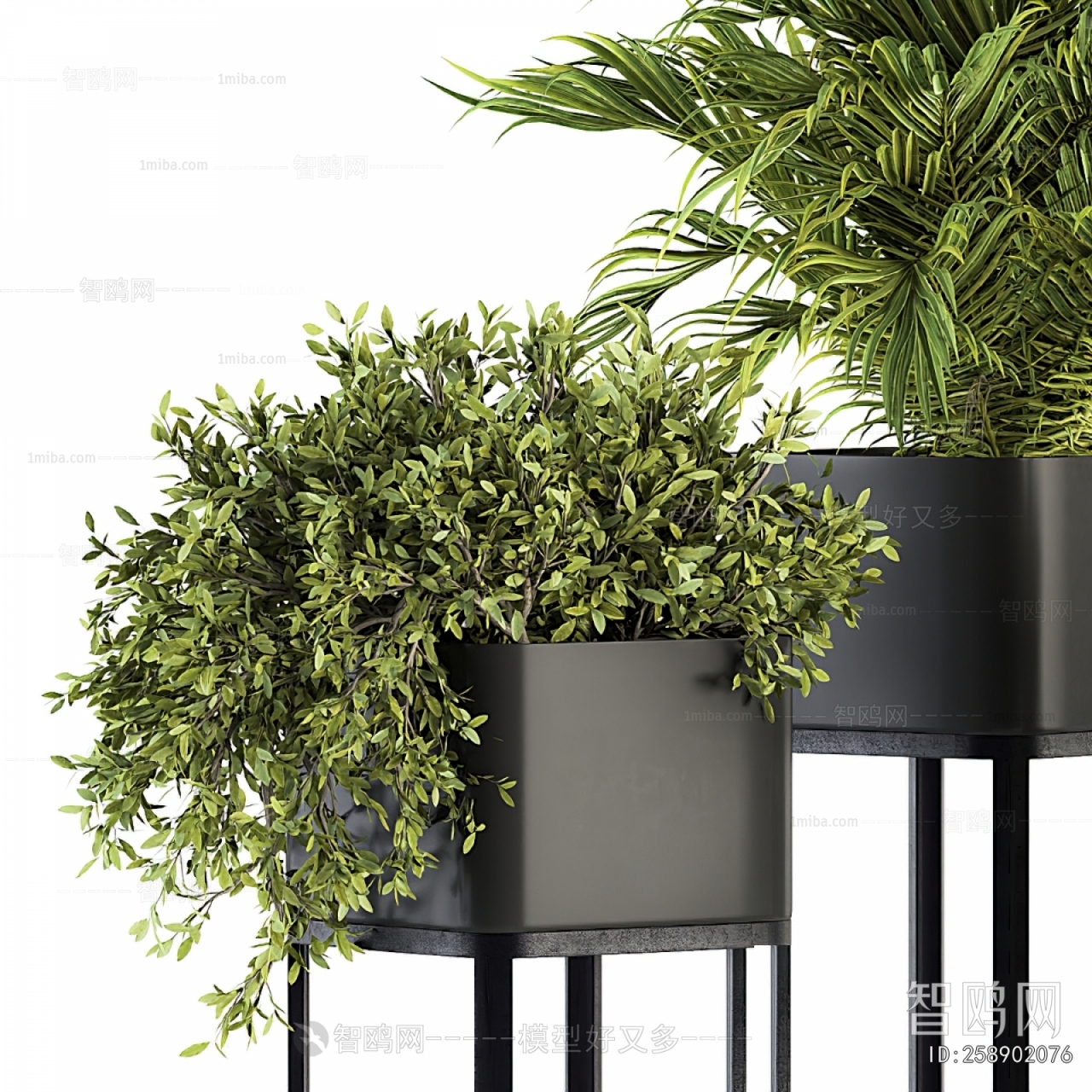 Modern Potted Green Plant