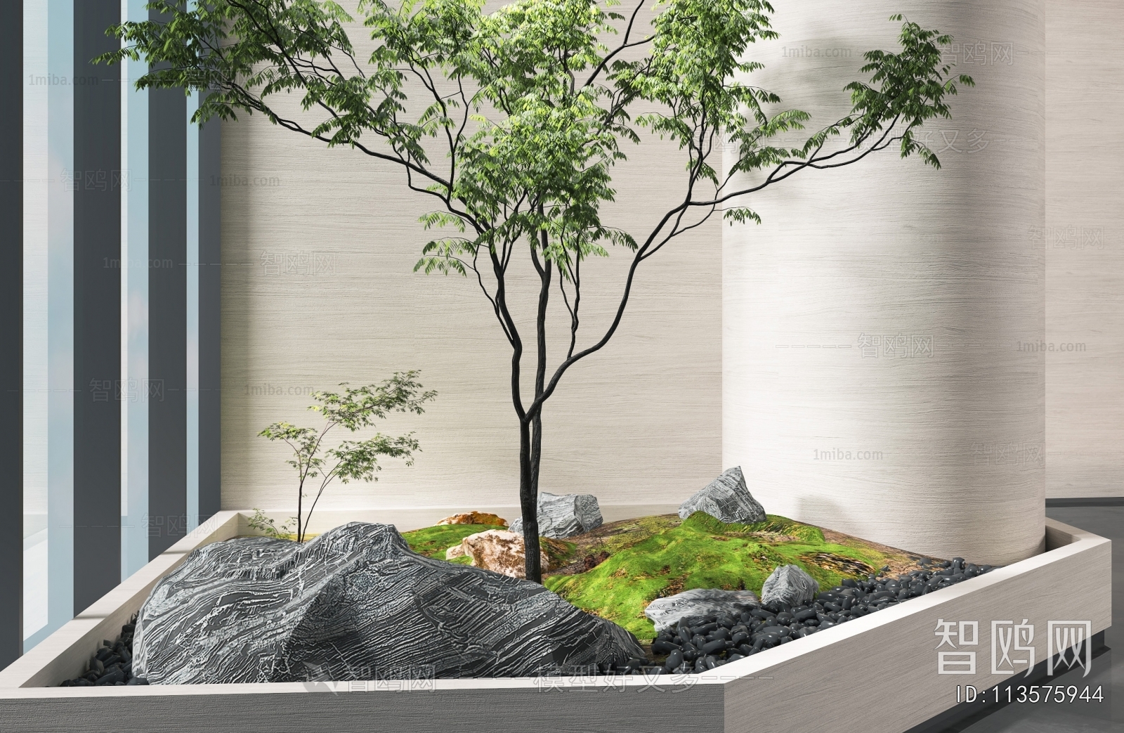 Modern Plant Landscaping