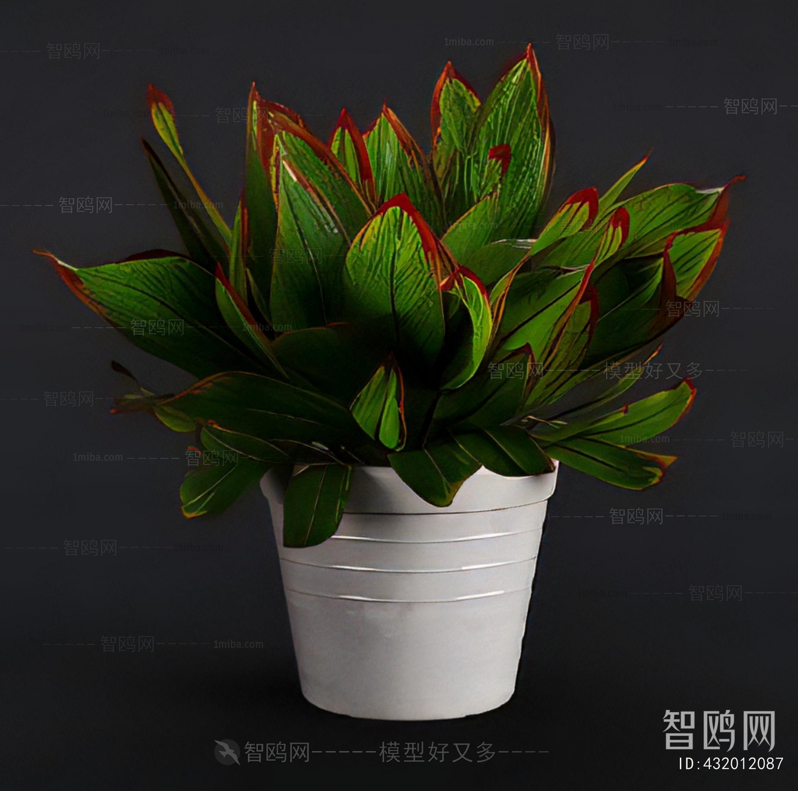 Modern Potted Green Plant