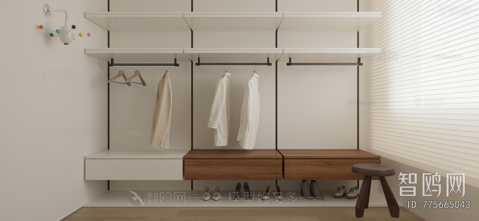 Modern Clothes Storage Area