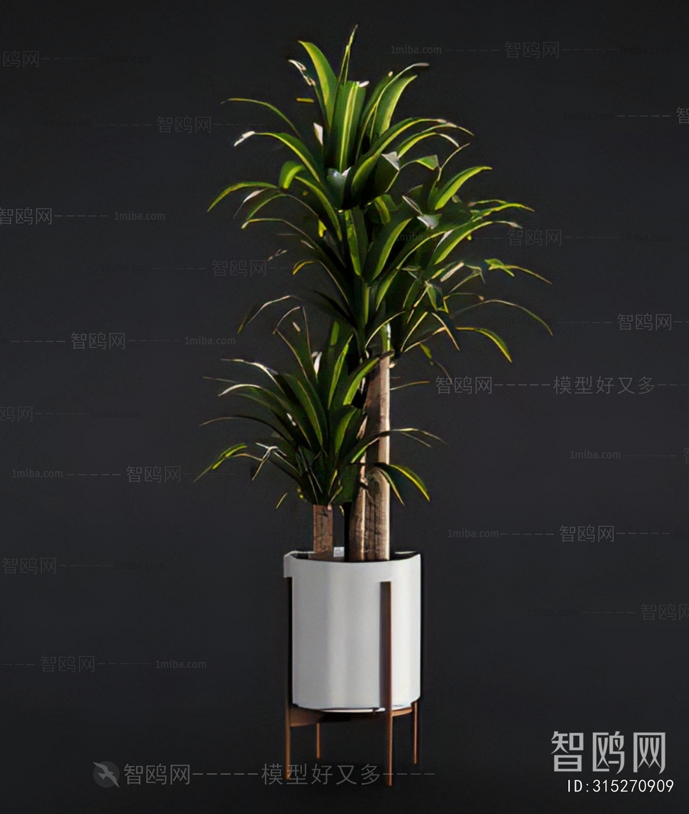 Modern Ground Green Plant Potted Plants