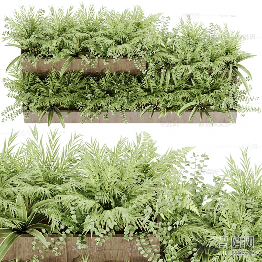 Modern Flower Bed, Flower Bowl, Flower Box