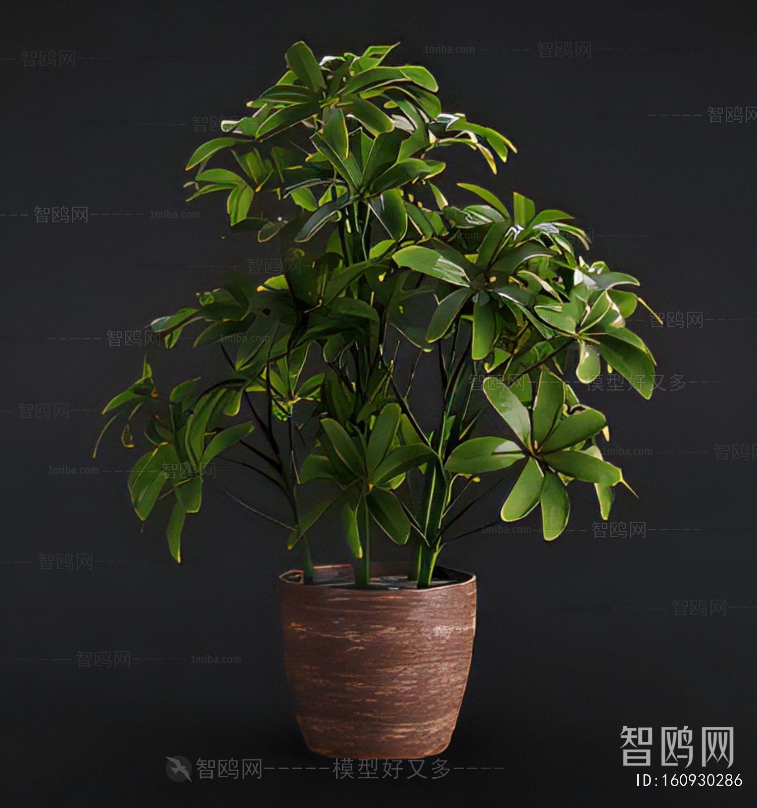 Modern Potted Green Plant