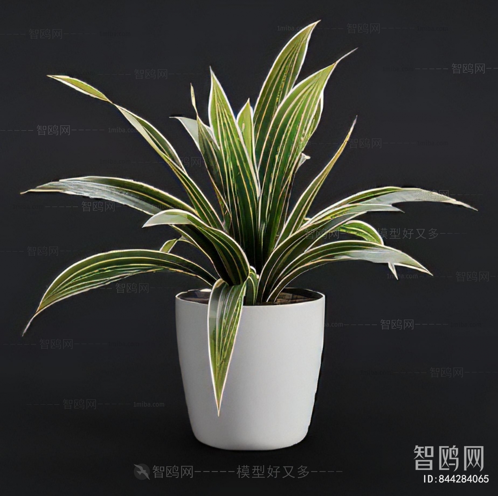Modern Potted Green Plant