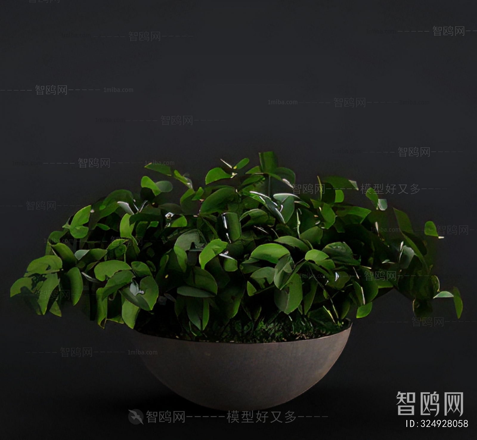 Modern Potted Green Plant