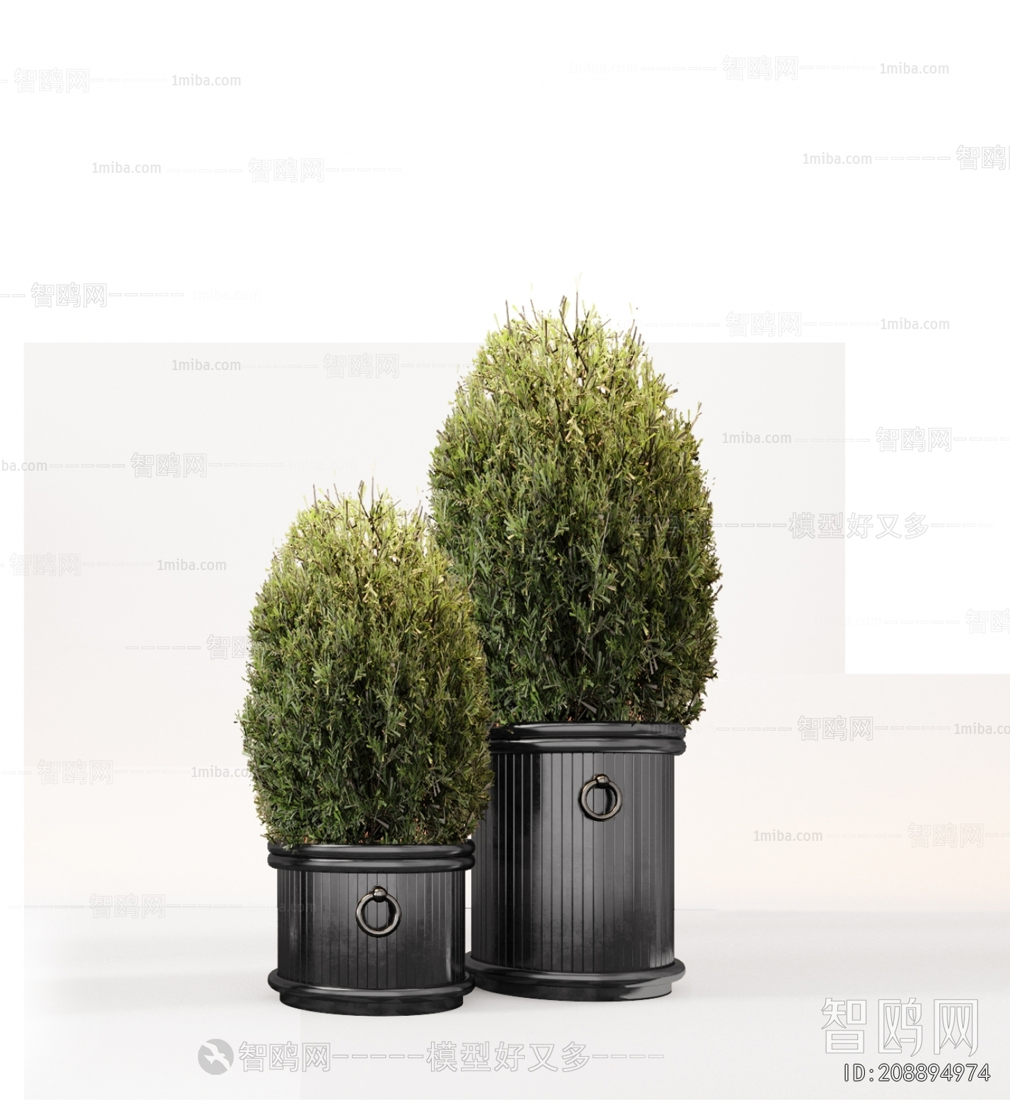 Modern Ground Green Plant Potted Plants