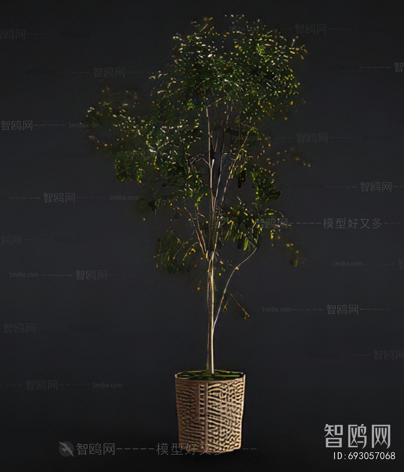 Modern Ground Green Plant Potted Plants