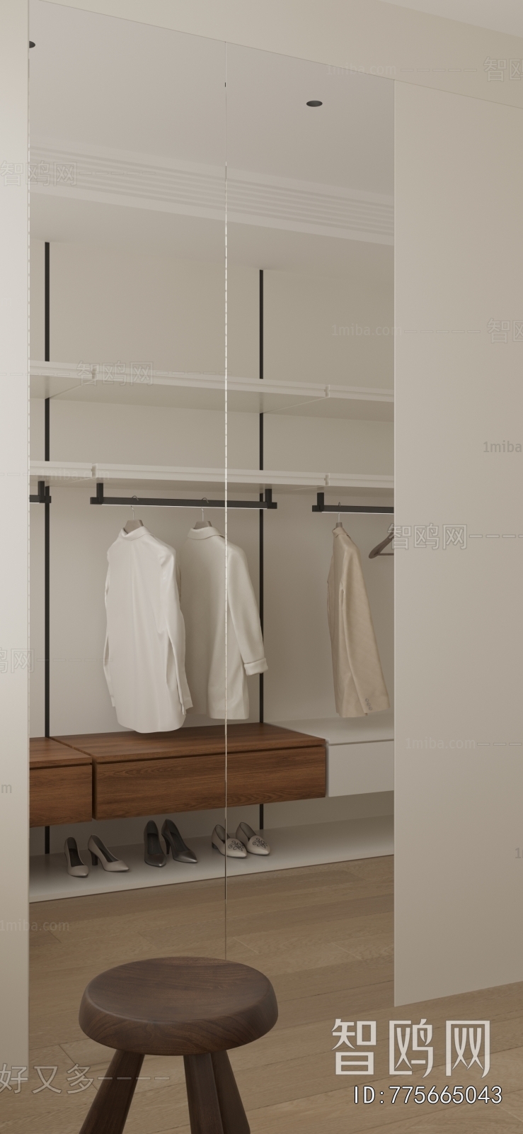 Modern Clothes Storage Area