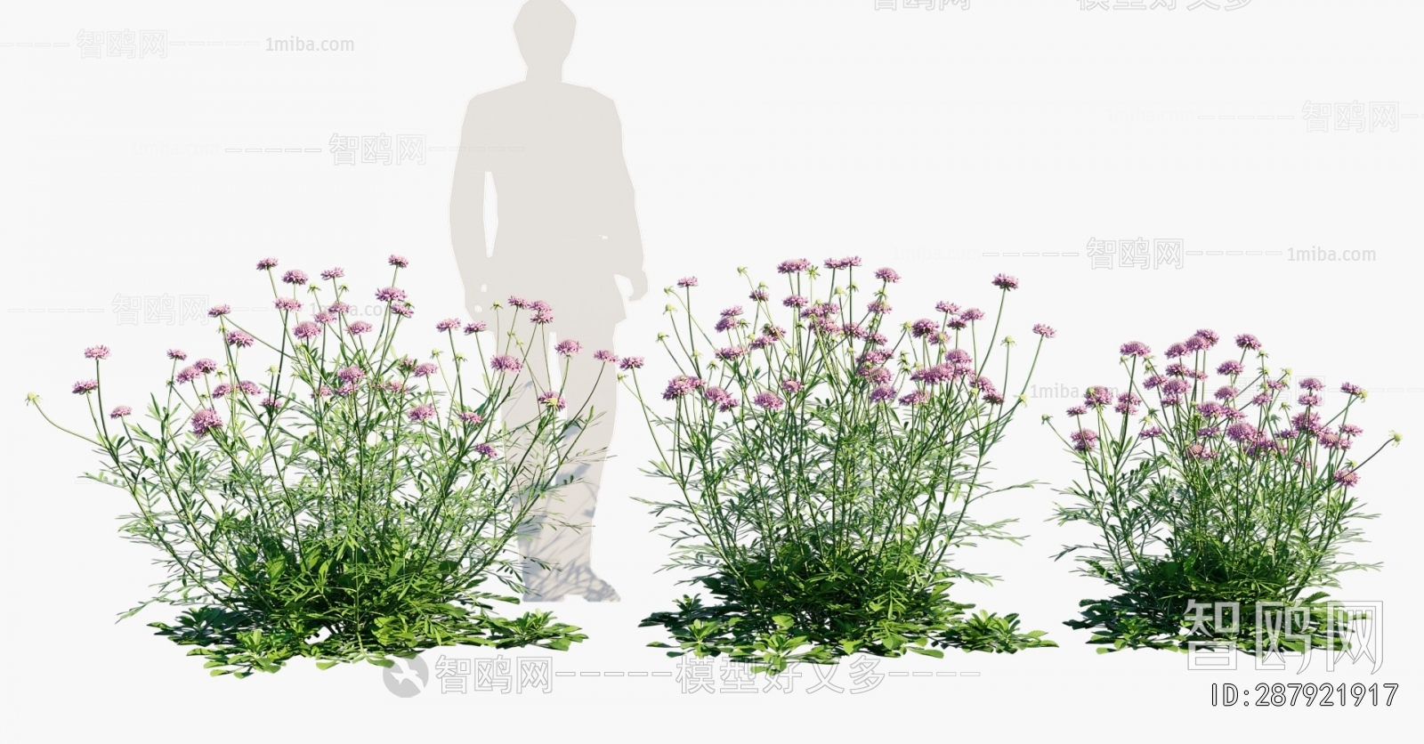 Modern Flowers And Grass