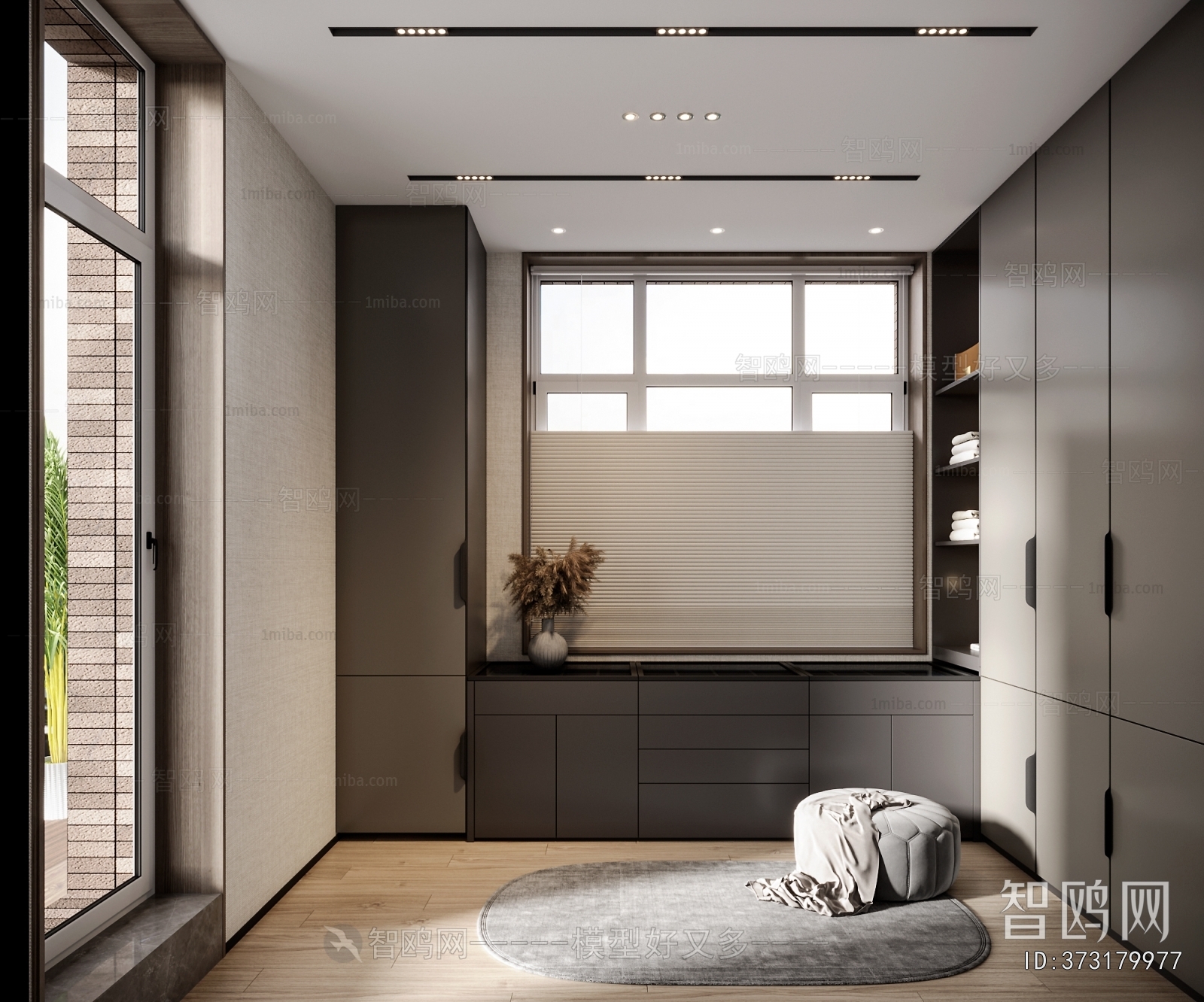 Modern Clothes Storage Area