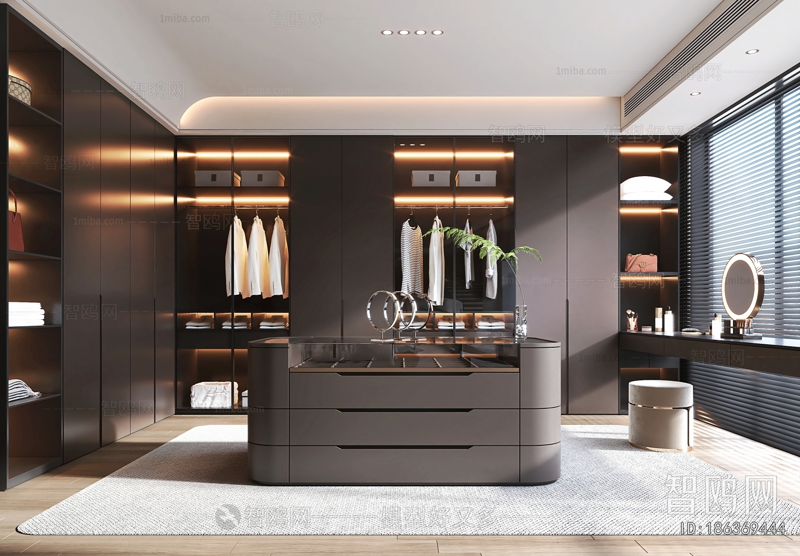 Modern Clothes Storage Area