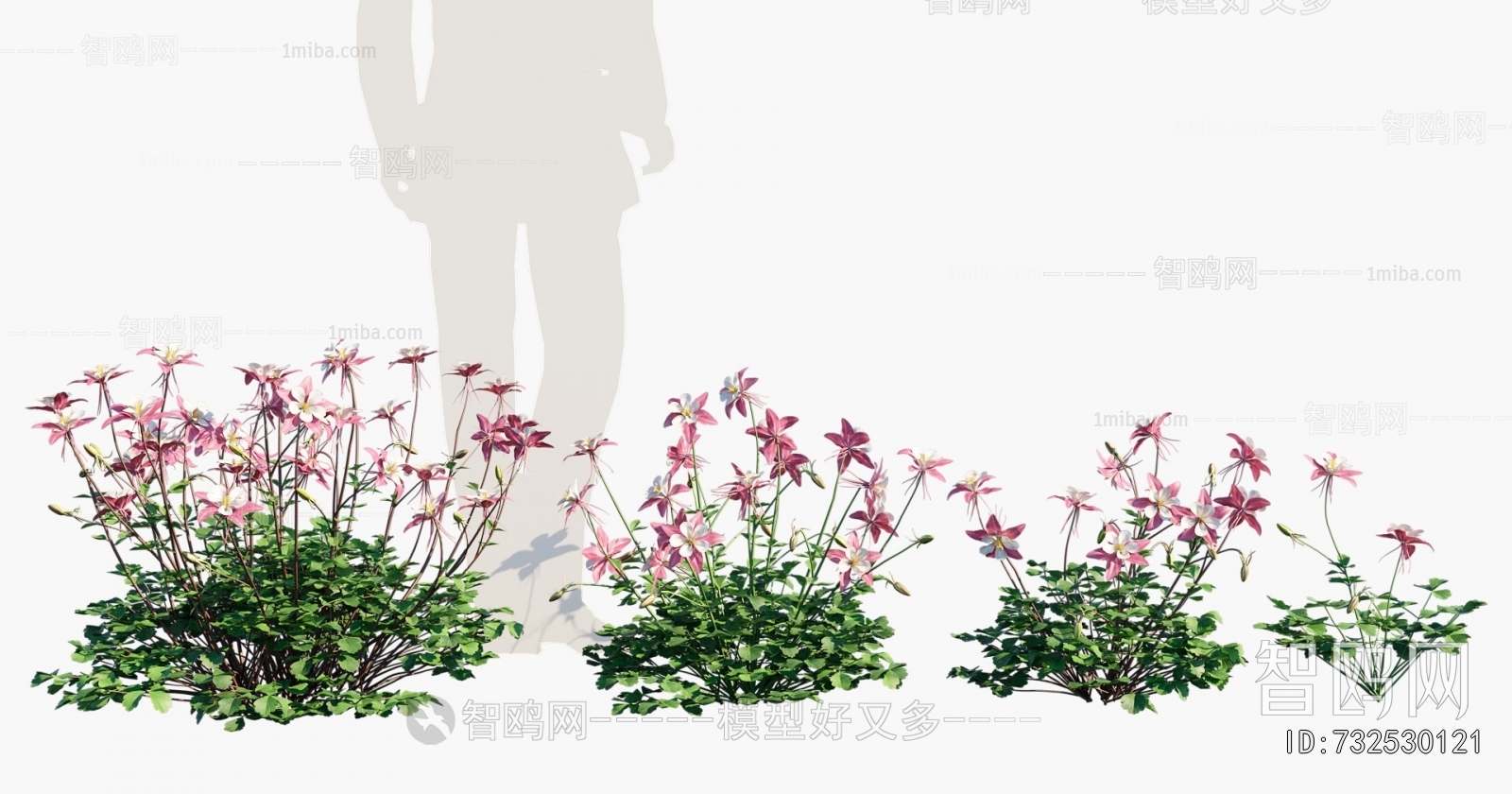 Modern Flowers And Grass