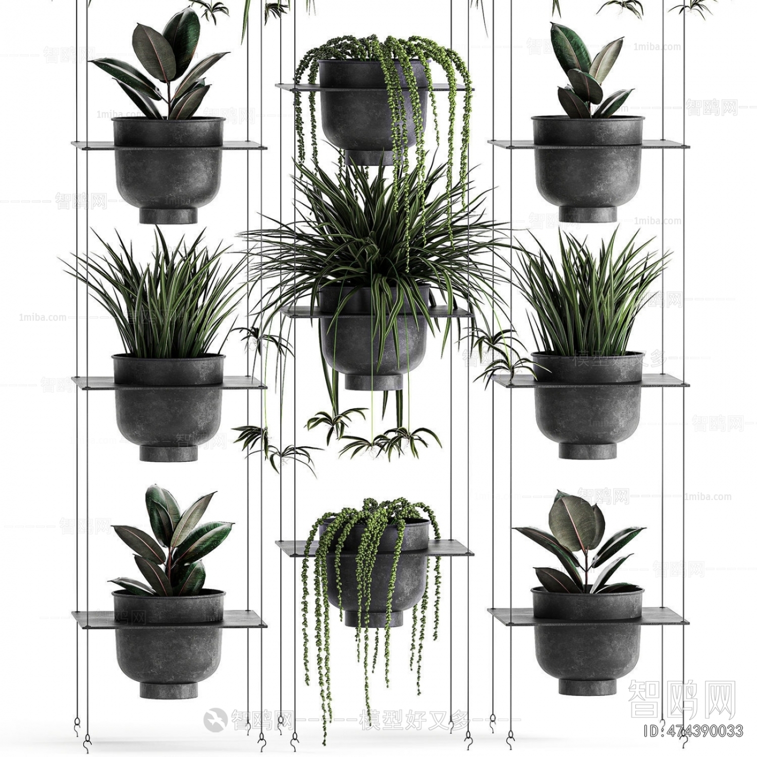 Modern Potted Green Plant