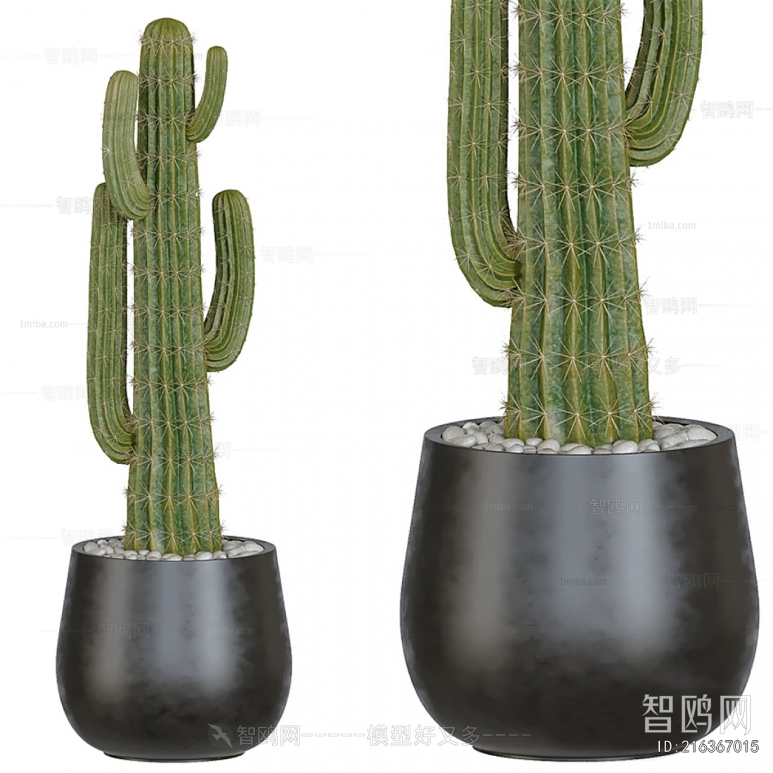 Modern Potted Green Plant