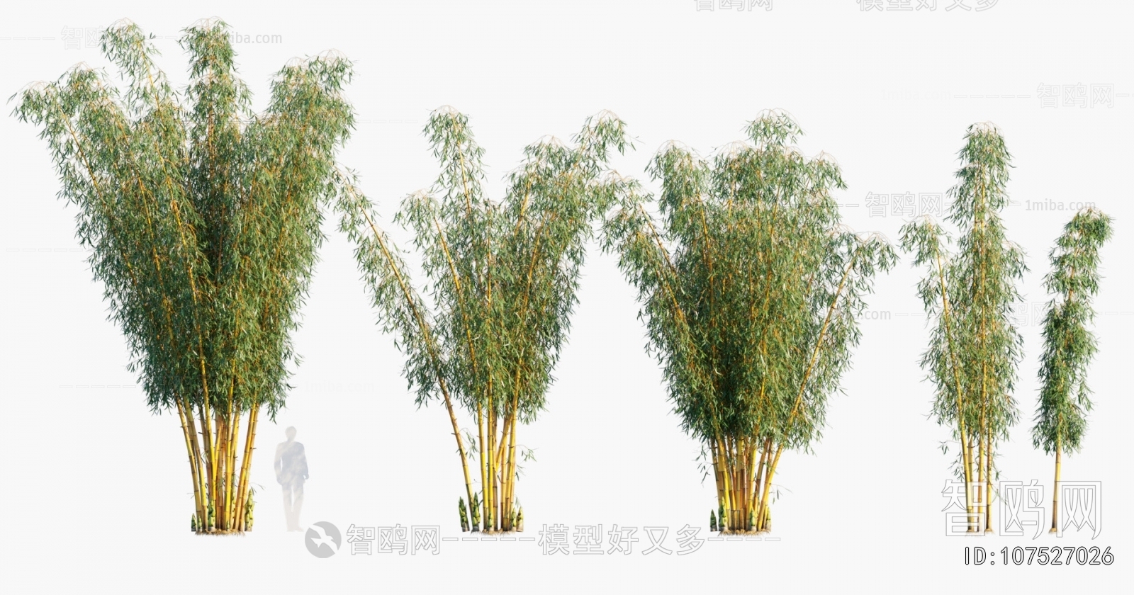 Modern Bamboo