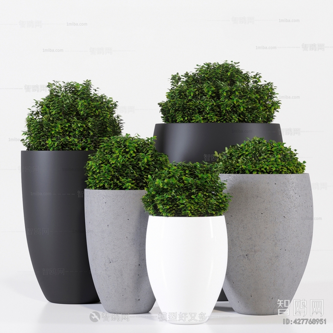 Modern Ground Green Plant Potted Plants