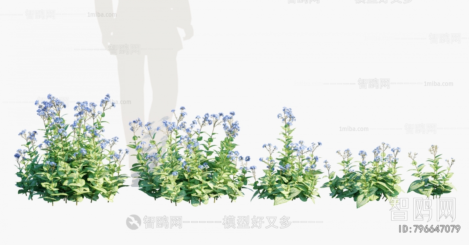 Modern Flowers And Grass