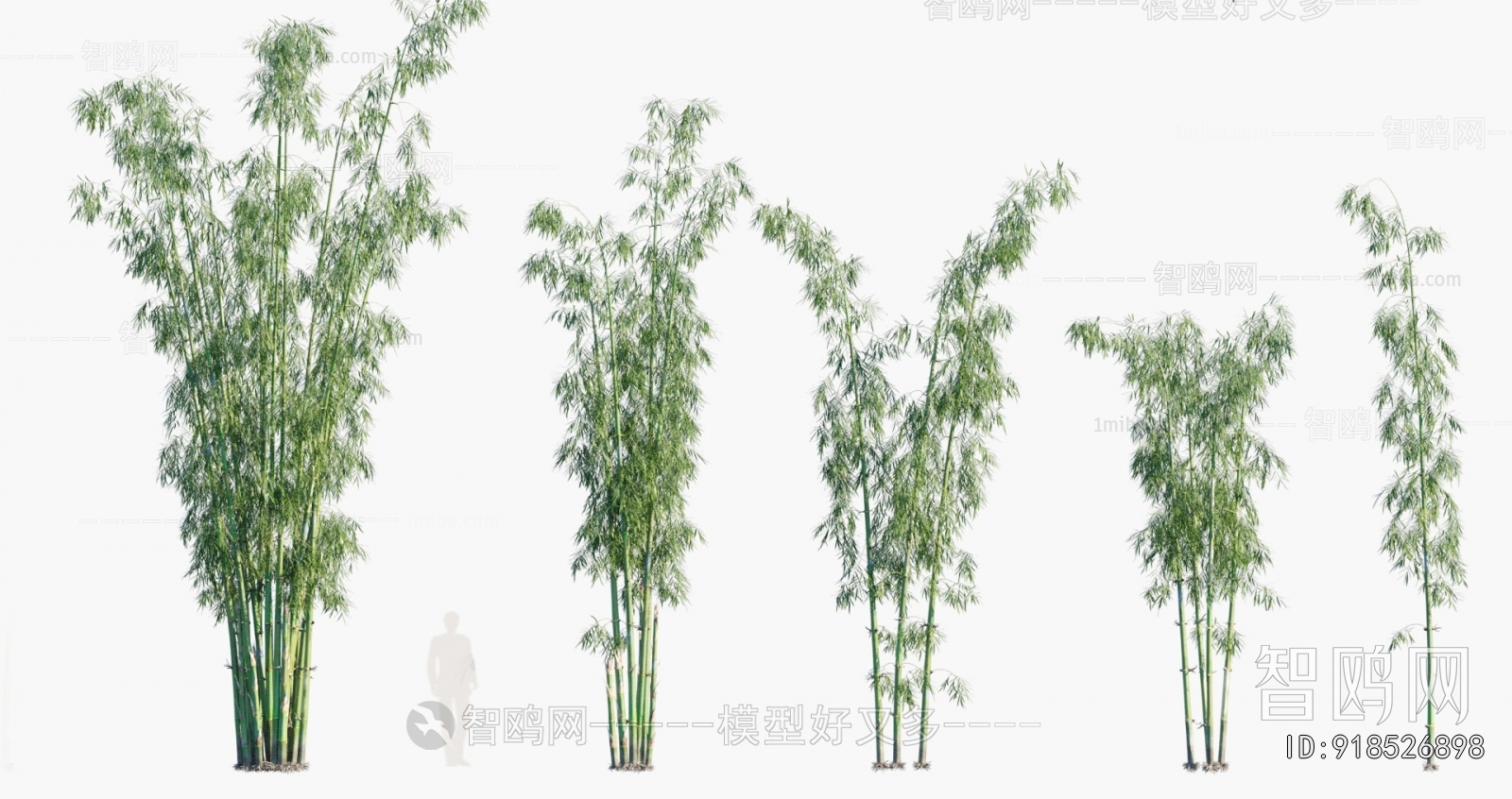 Modern Bamboo