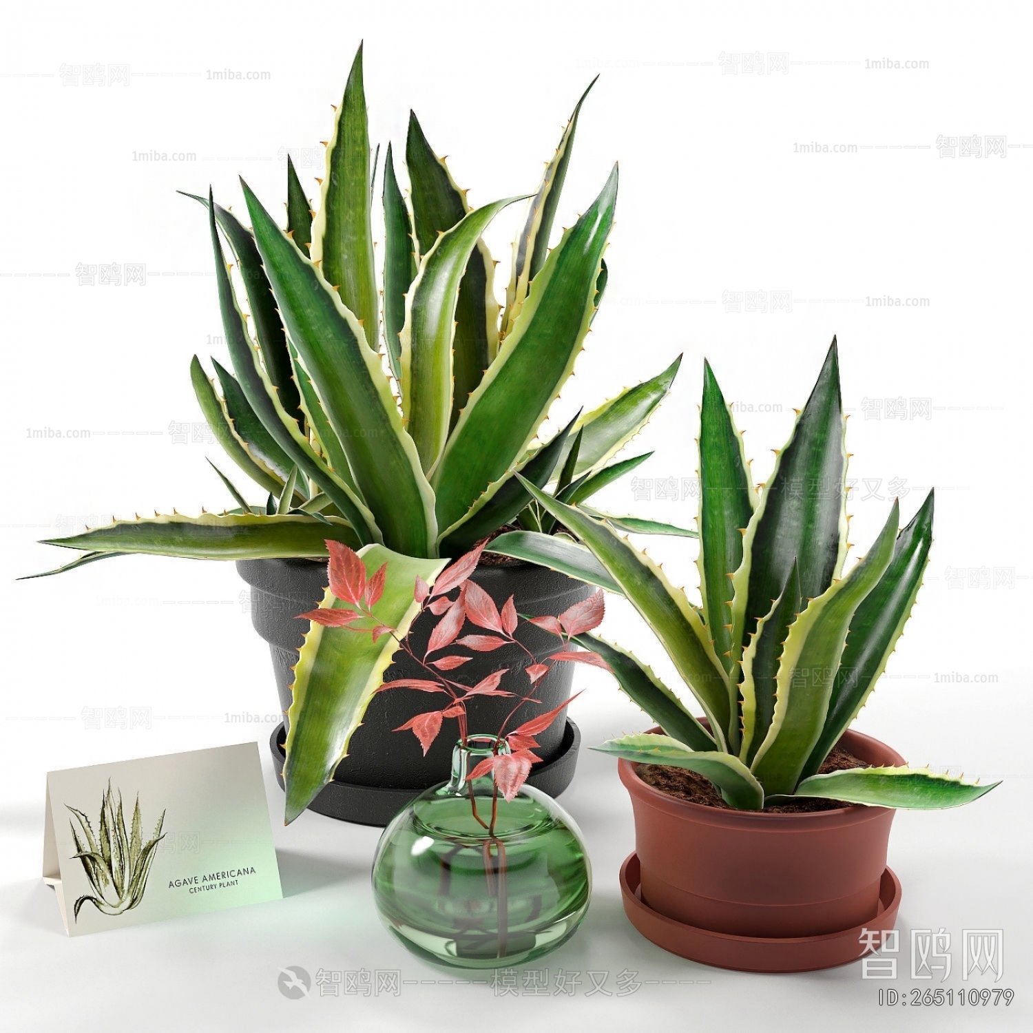 Modern Potted Green Plant
