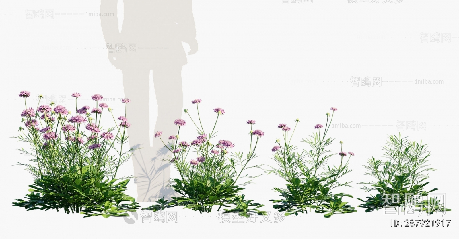 Modern Flowers And Grass