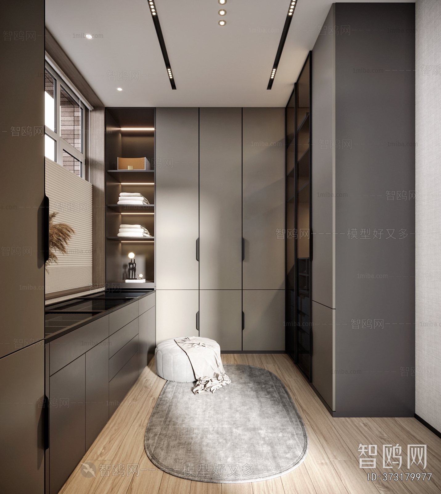 Modern Clothes Storage Area