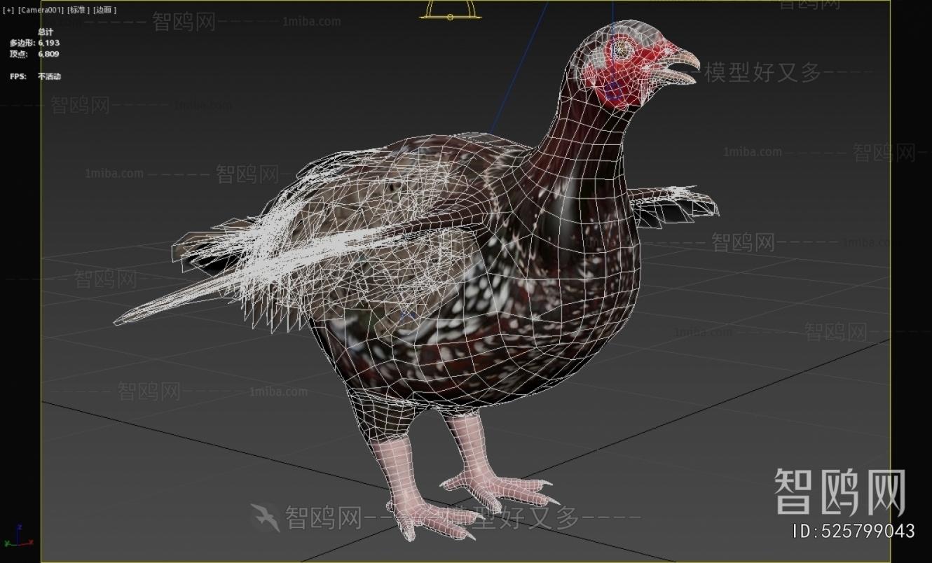 Modern Flying Animals