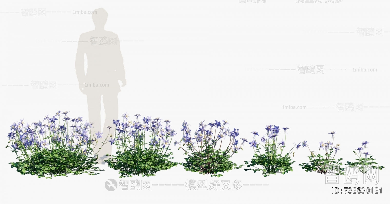 Modern Flowers And Grass