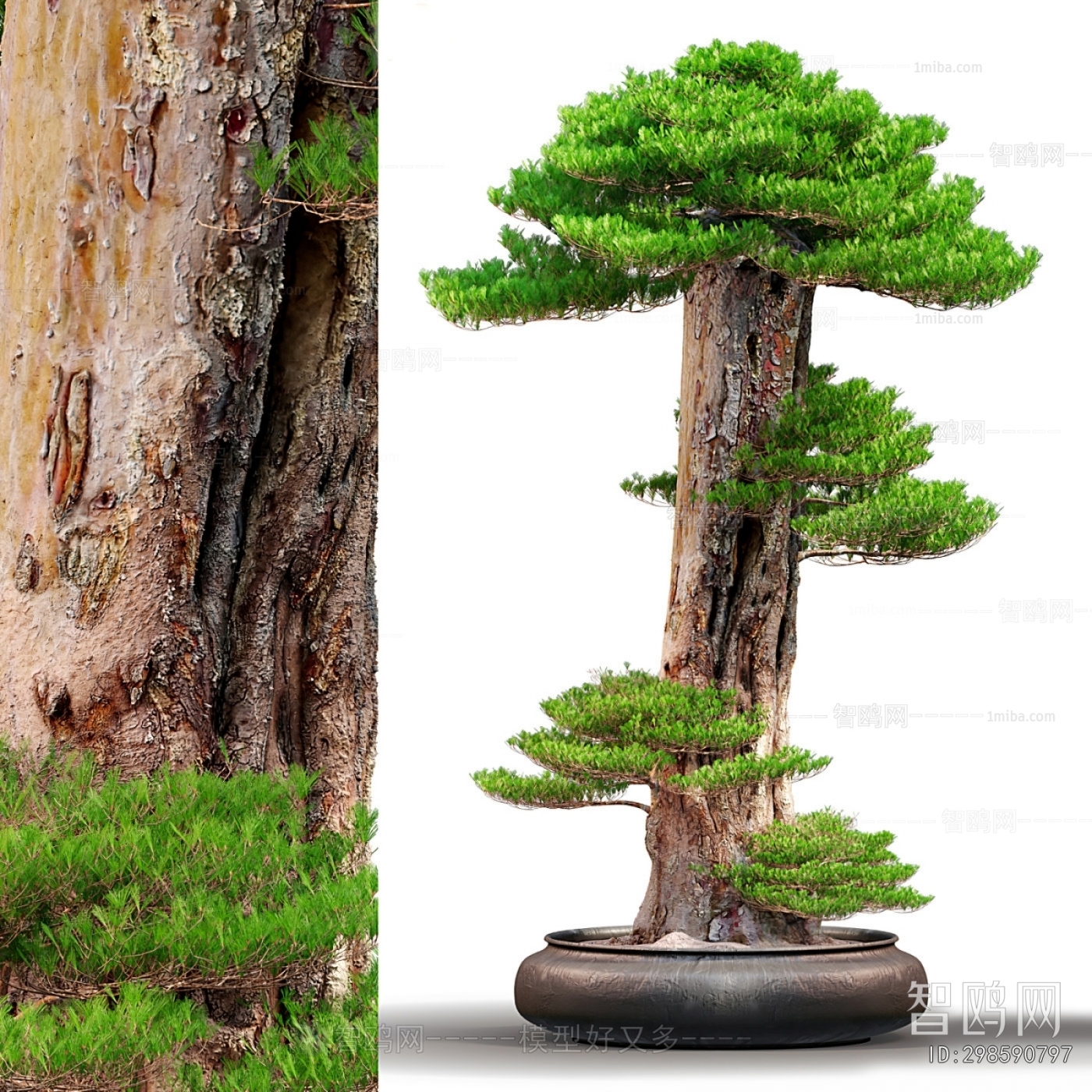New Chinese Style Bonsai
