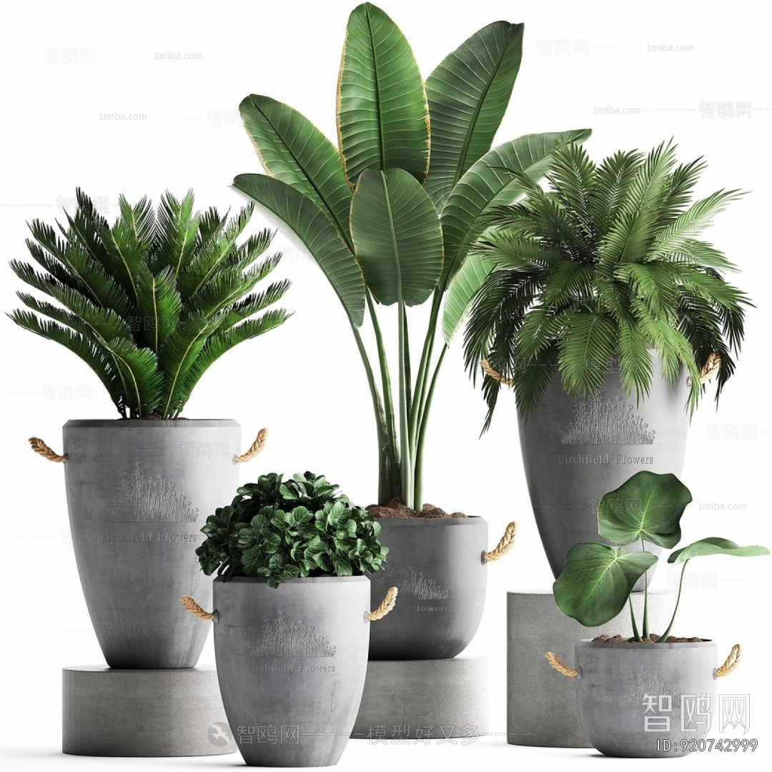 Modern Ground Green Plant Potted Plants