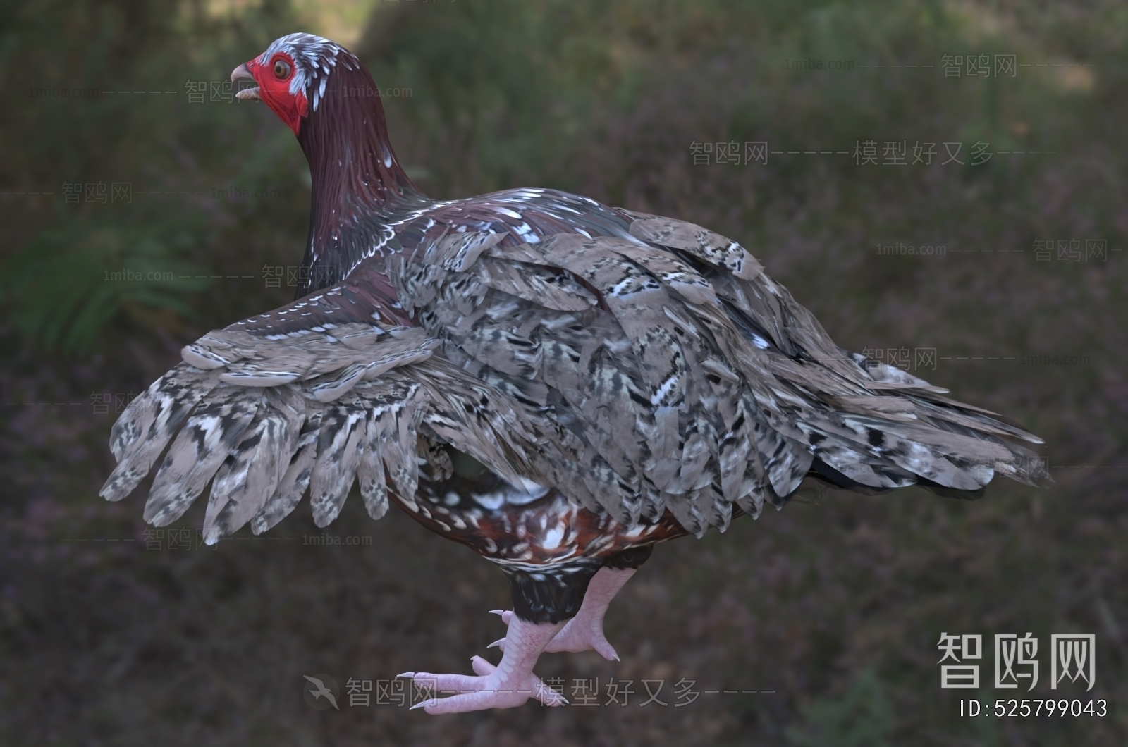 Modern Flying Animals