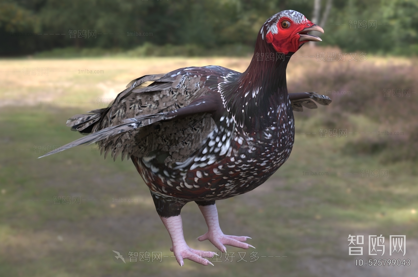 Modern Flying Animals