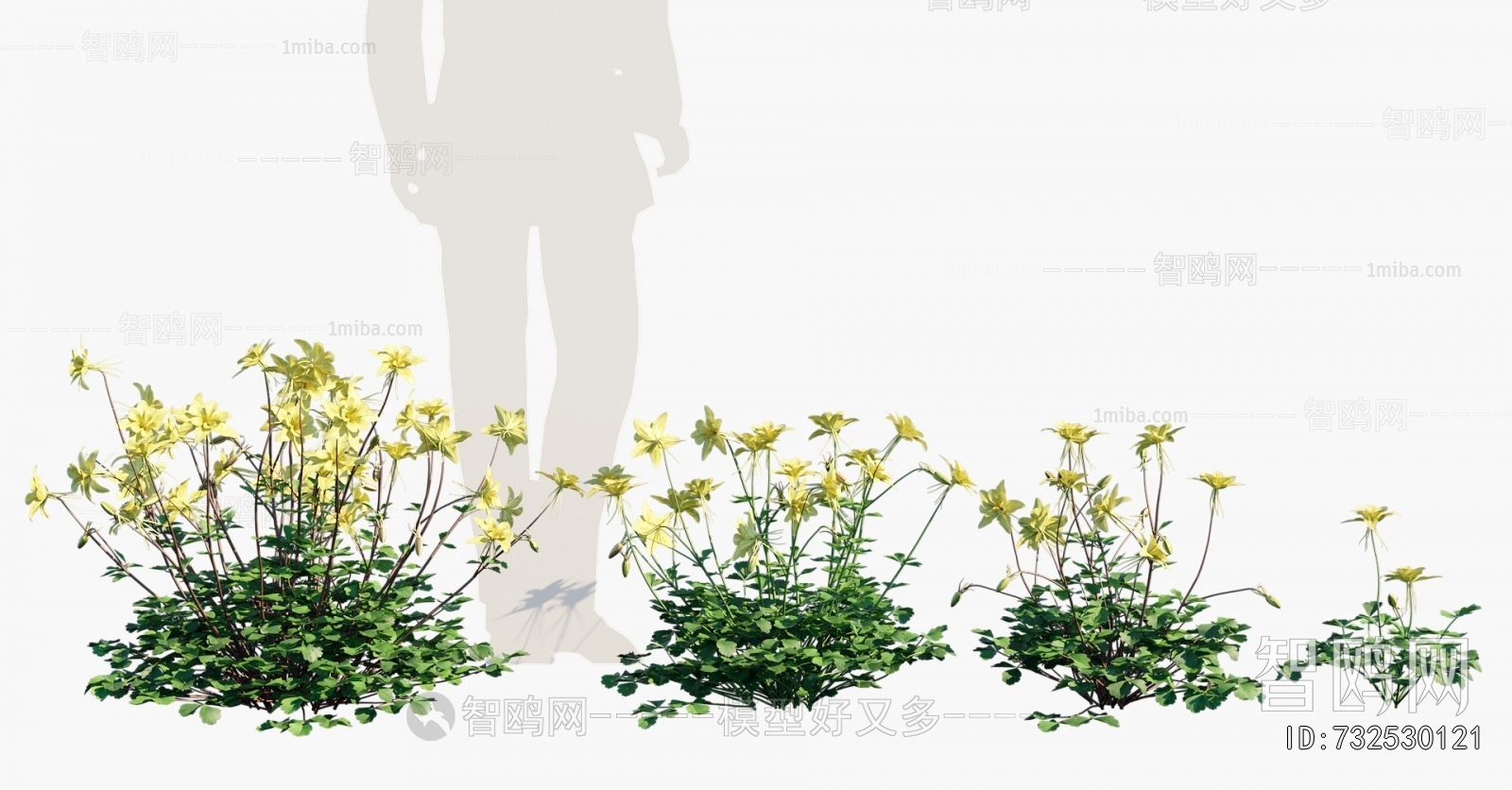 Modern Flowers And Grass