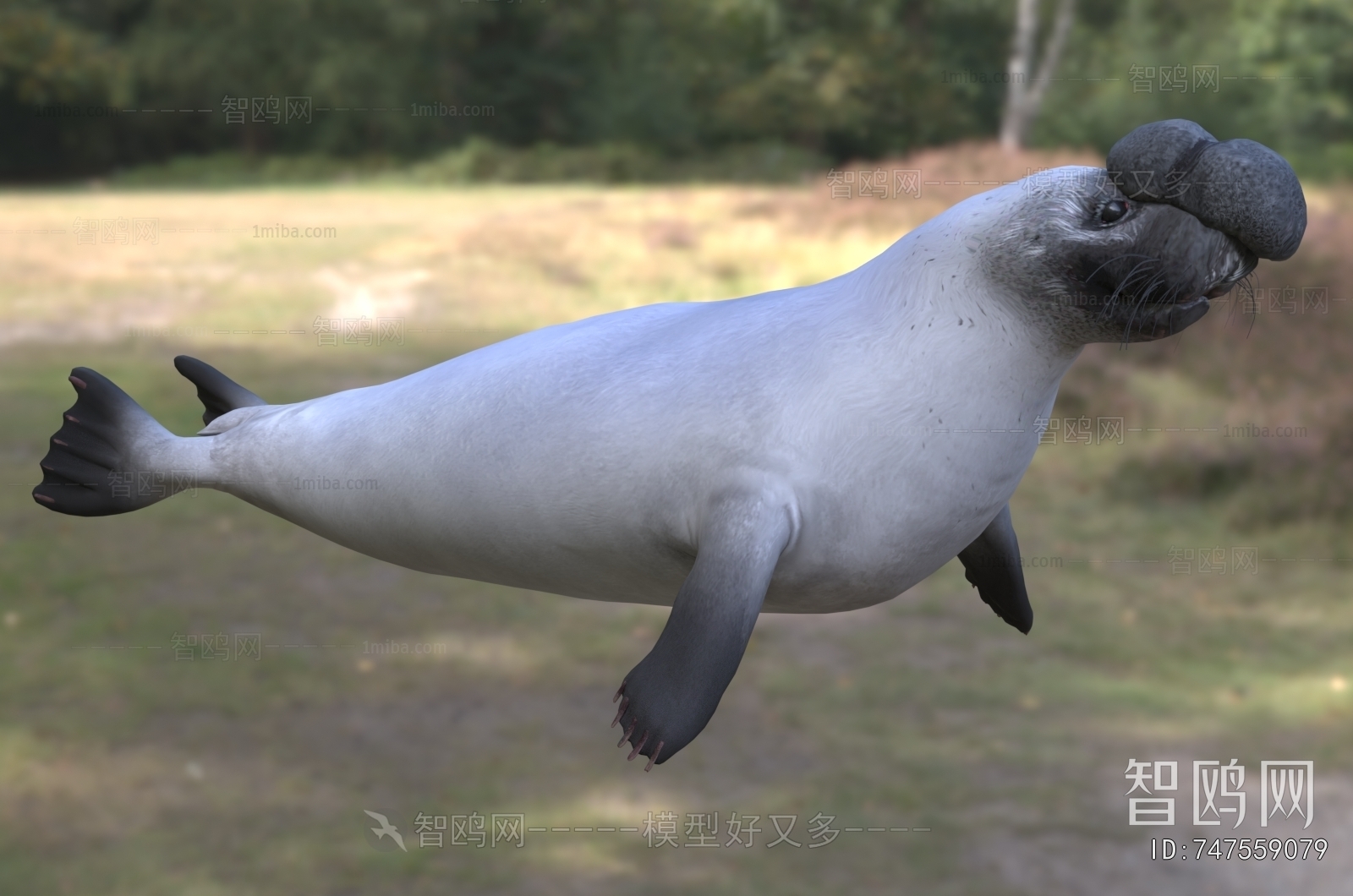 Modern Aquatic Animals