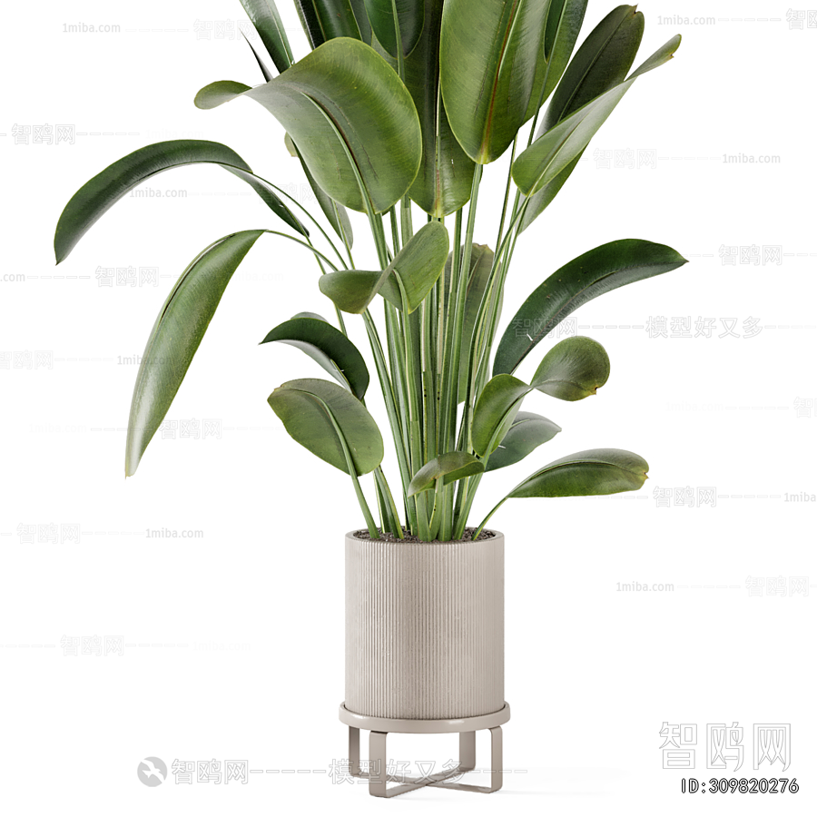 Modern Ground Green Plant Potted Plants
