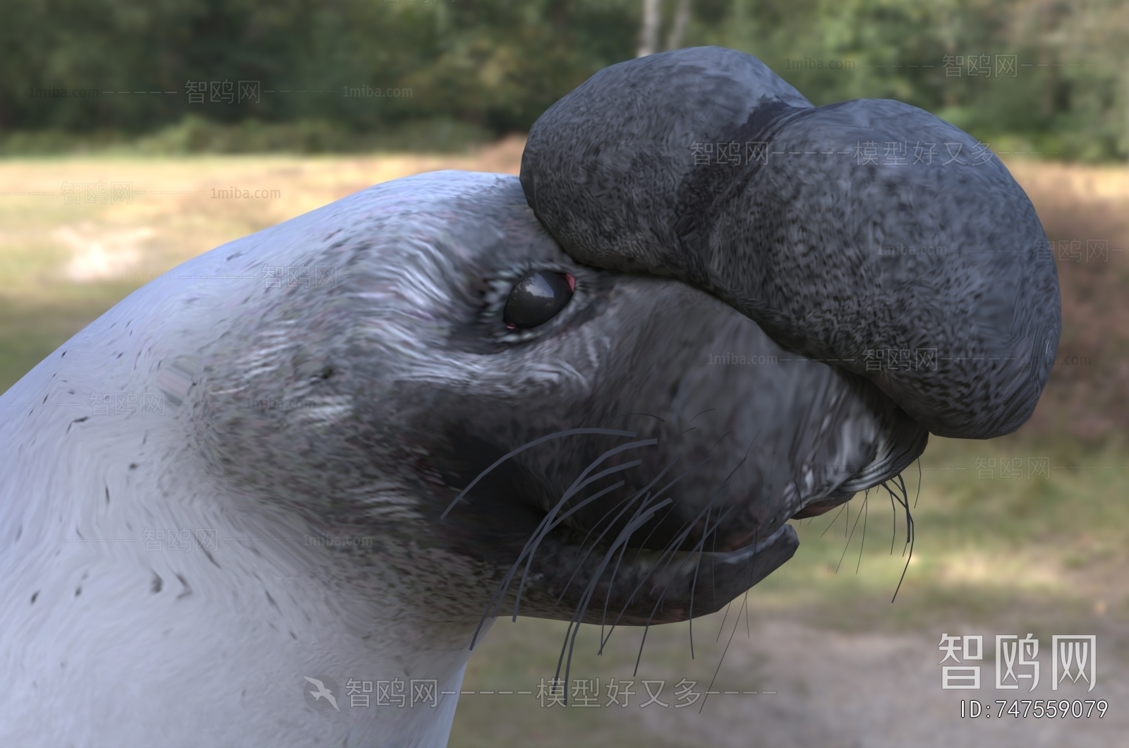 Modern Aquatic Animals